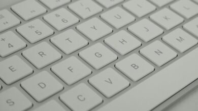 mutf input identifier code