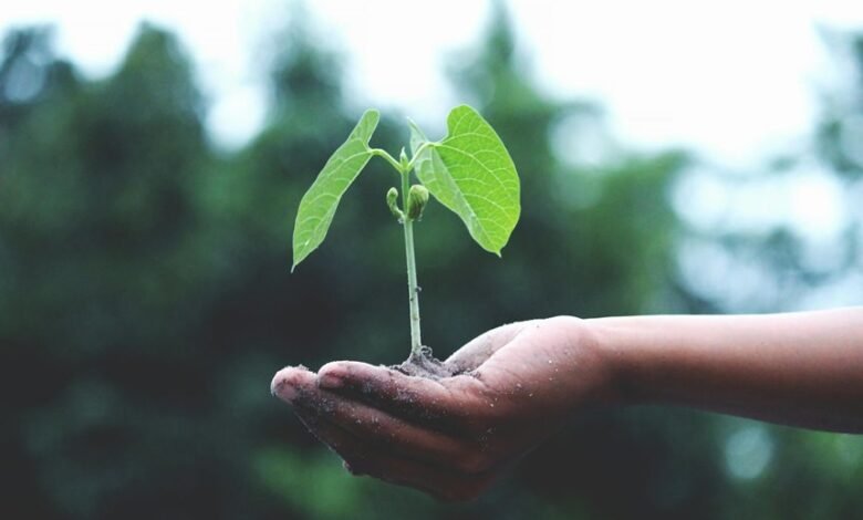 nippon india growth fund
