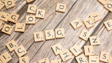 sbi esg exclusion strategy