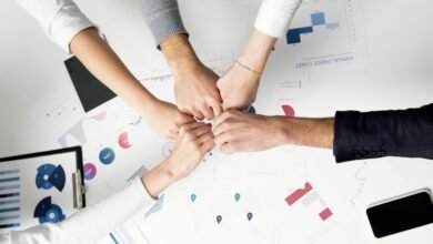 business data analysis insights