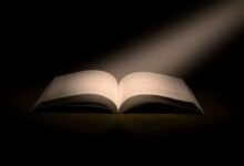 corporate growth analysis report