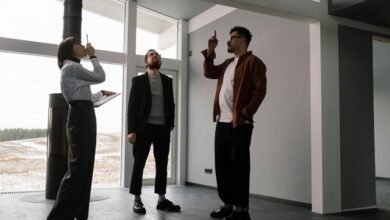 executive insights on data